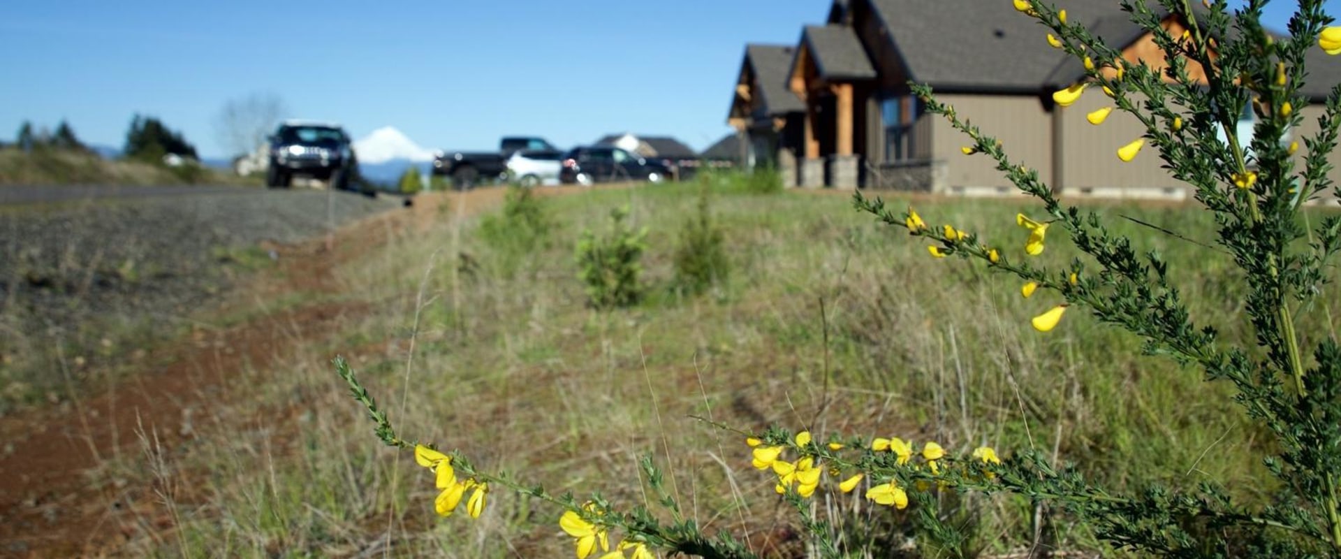 The Evolution of Politics in Damascus, Oregon