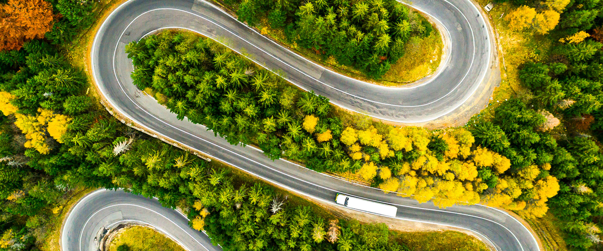 The Intersection of Environment, Sustainability, and Politics in Damascus, Oregon: An Expert's Perspective